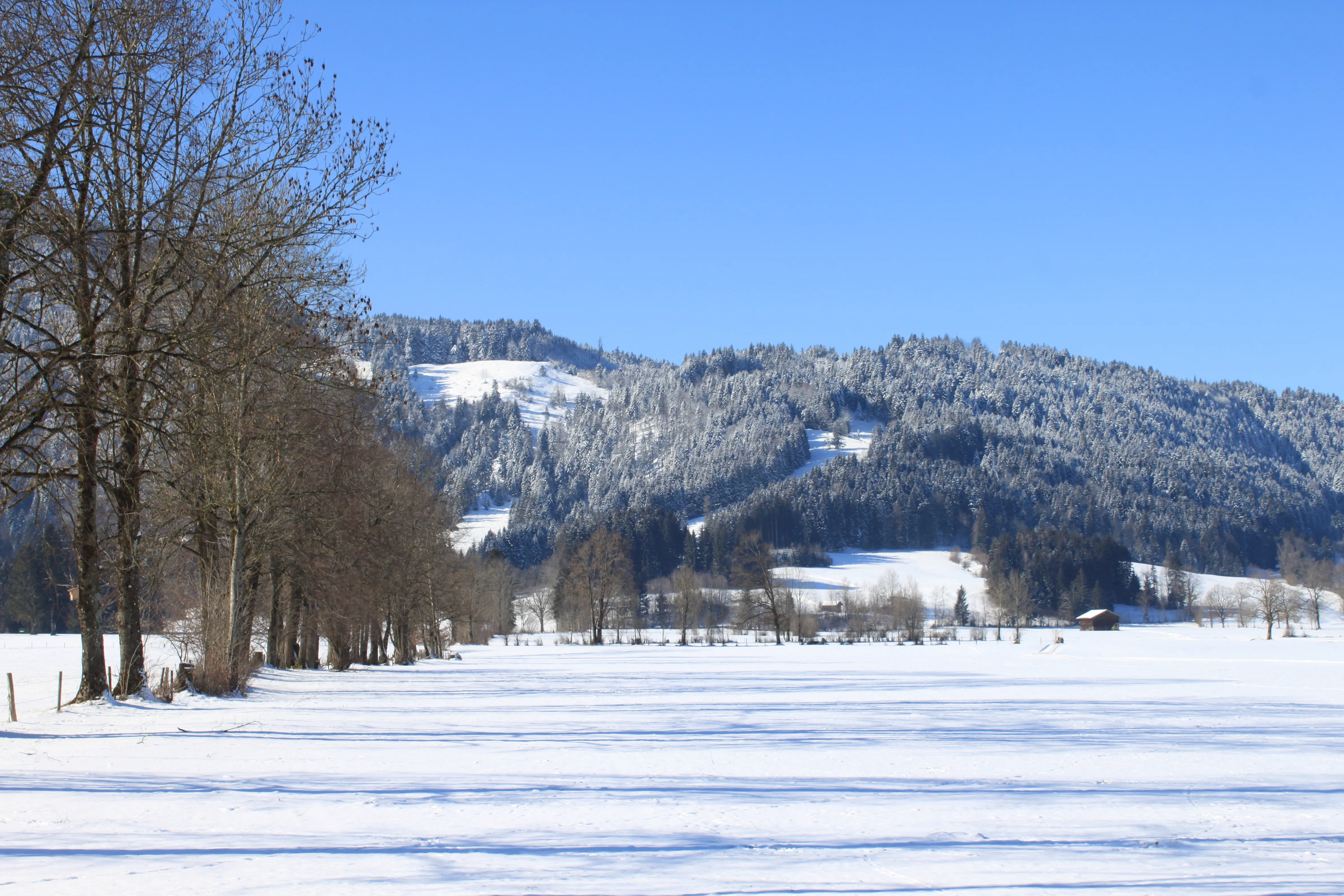 Ferienwohnung MonSevi in Arzbach mit Bergblick auf den Isarwinkel